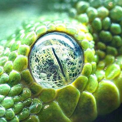 🐍LilithCrowley🐍